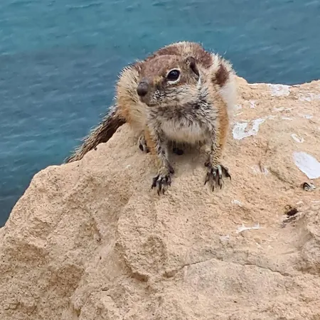 Casa Yvonne Apartamento Costa Calma